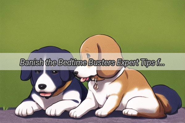 Banish the Bedtime Busters Expert Tips for Dealing with Your Dogs Bedroom Invaders